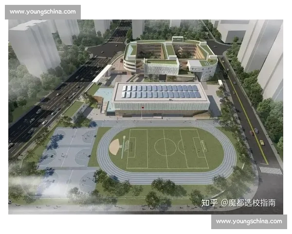 全面提升乒乓球技术与战术实战能力的系统教学指南